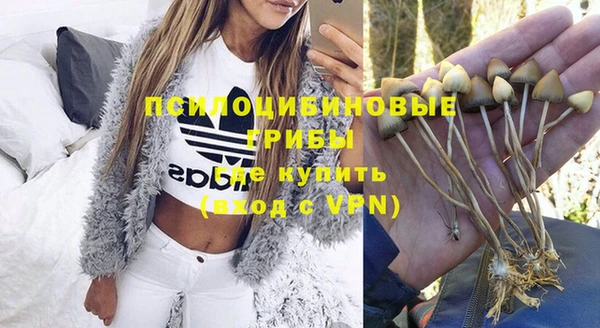 кокаин Белокуриха