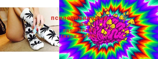ПСИЛОЦИБИНОВЫЕ ГРИБЫ Белоозёрский