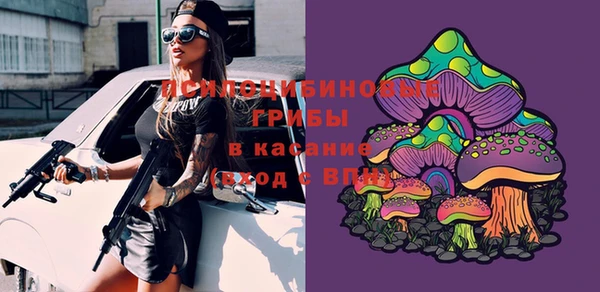 кокаин Белокуриха