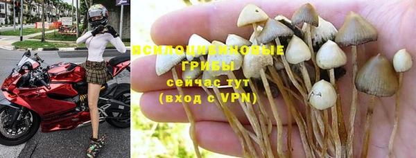 кокаин Белокуриха
