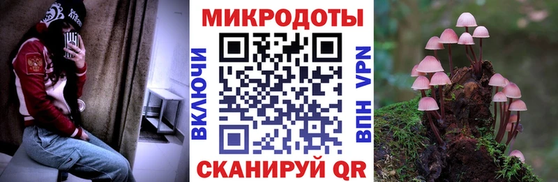 купить закладку  ссылка на мегу ссылка  Псилоцибиновые грибы Psilocybine cubensis  Каспийск 